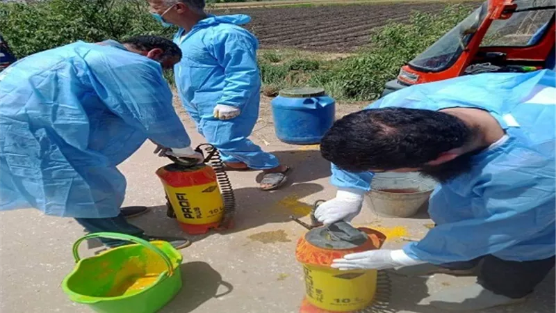 صحة المنيا: حملات مكثفة لمكافحة مسببات وناقلات الأمراض