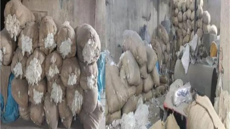 ضبط 14 طن أقطان غير مطابقة للمواصفات بالقليوبية