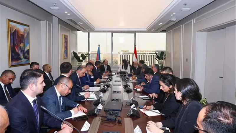 مباحثات لتعزيز التعاون بين مصر وأذربيجان في مجالات الدواء والغذاء