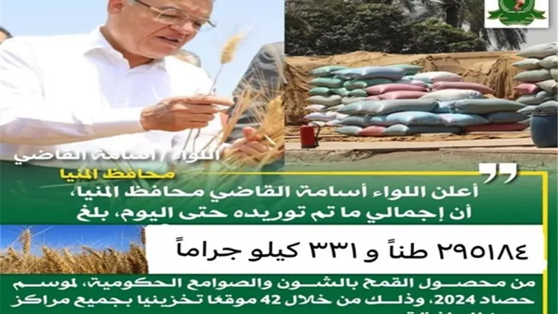 استقبال 295 ألف طن من القمح في شون وصوامع المنيا