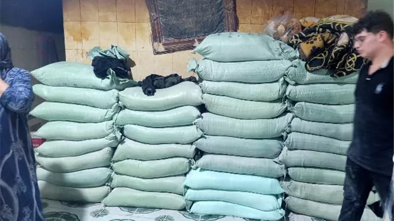 قمح كفرالشيخ تخطي ٢٠٠ ألف طن