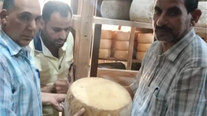 مصنع لتعبئة الزيوت والجيلى دون ترخيص بدمنهور