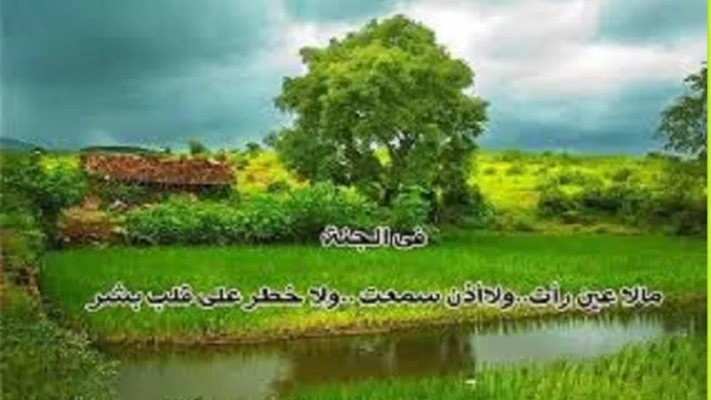 فى الجنة مالا عين رأت..تعرف على الصحيح فى وصف اهلها