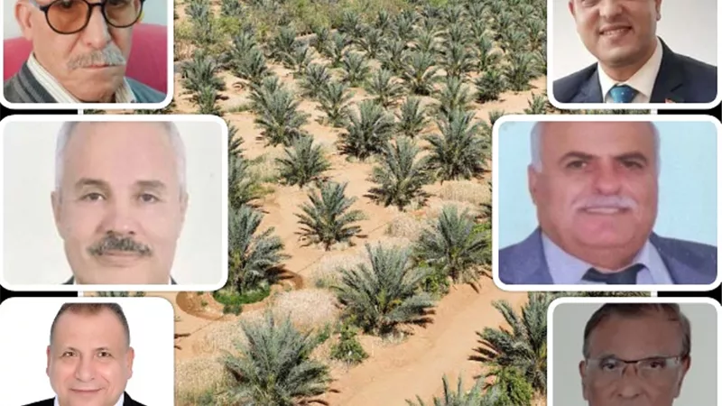 خلط القمح بالذرة.. خطوة على طريق الاكتفاء الذاتى