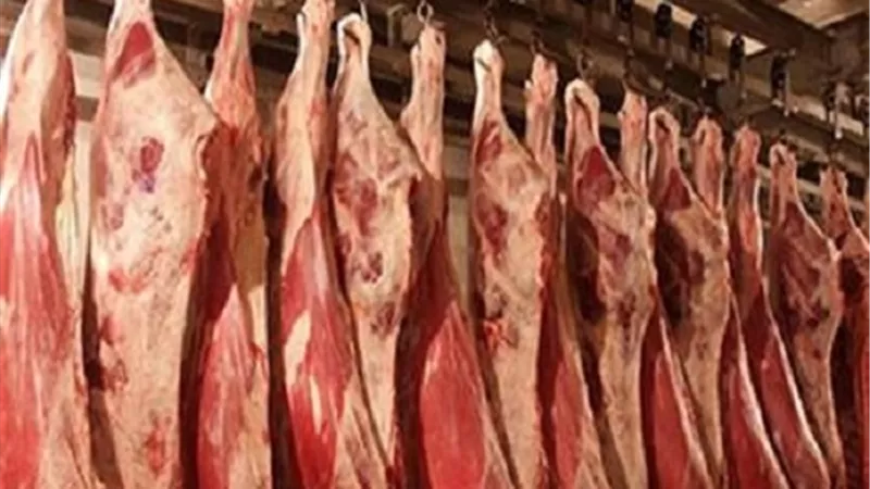 تفاصيل ضخ 140 طن لحوم حتى عيد الأضحى بتخفيض 40%