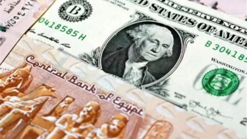 استقرار أسعار صرف الدولار مقابل الجنيه المصري في بداية التعاملات
