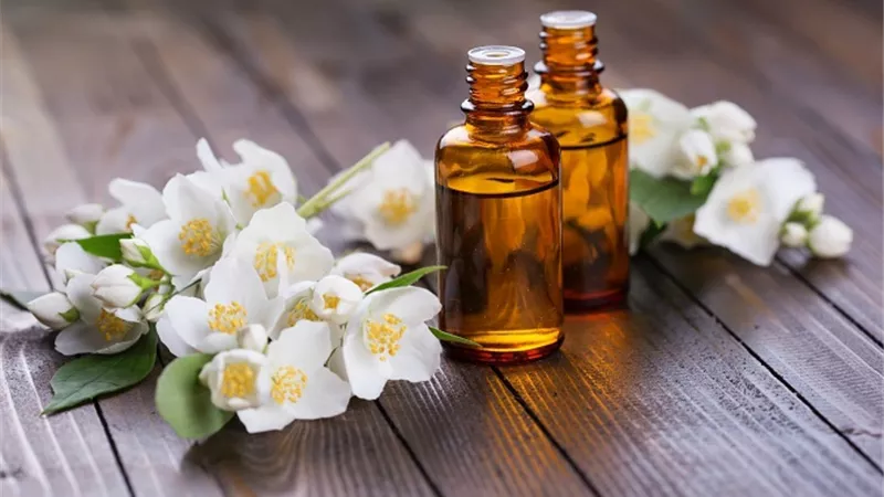 تعرف على أهم الفوائد التجميلية والصحية لزيت الياسمين