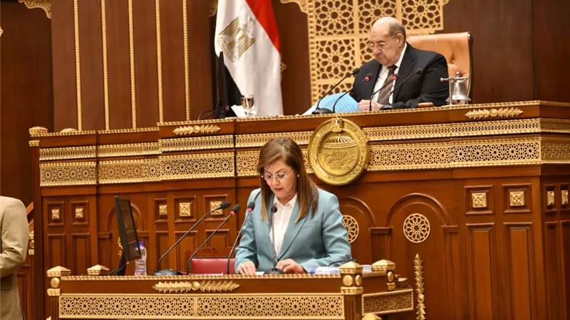 وزيرة التخطيط تستعرض مستهدفات الصحة والرياضة والزراعة والصناعة
