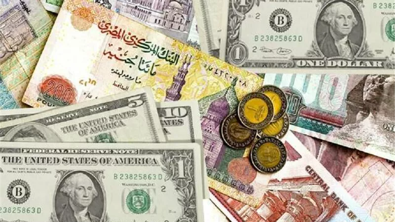 استقرار أسعار صرف الدولار مقابل الجنيه المصري في بداية التعاملات