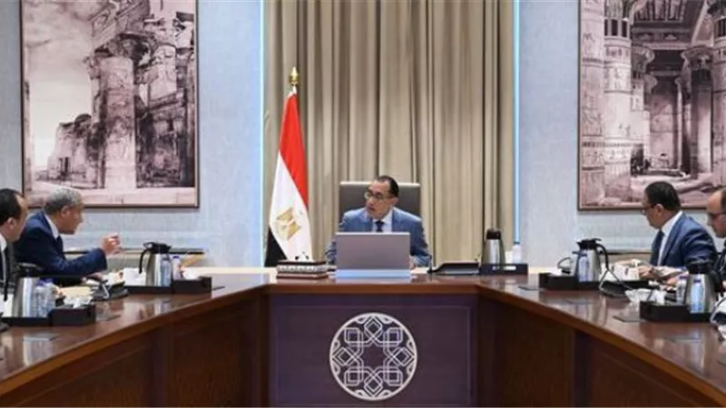 الحكومة: إجمالي توريدات القمح المحلي يبلغ 3 ملايين و63 ألف طن