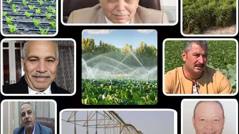 الجمهورية الجديدة.. بأساليب ري حديثة