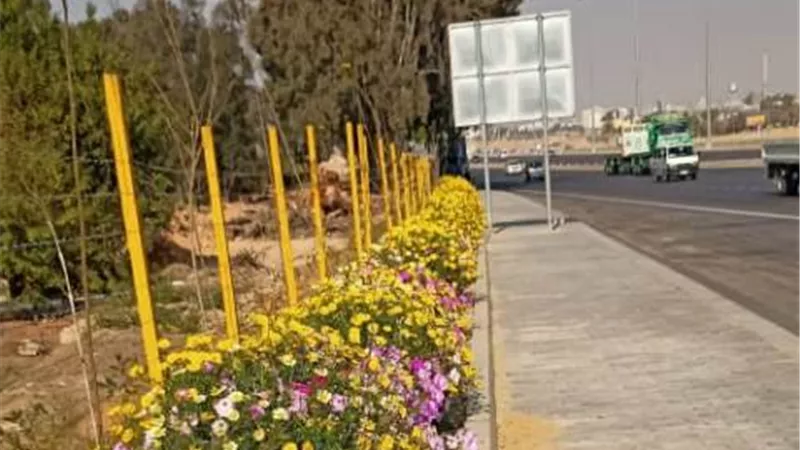 رئيس جهاز العاشر: رفع كفاءة المسطحات الخضراء بالمدينة.. صور