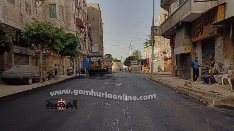٧ مليون جنية لرصف ١٠ طرق بالجمرك