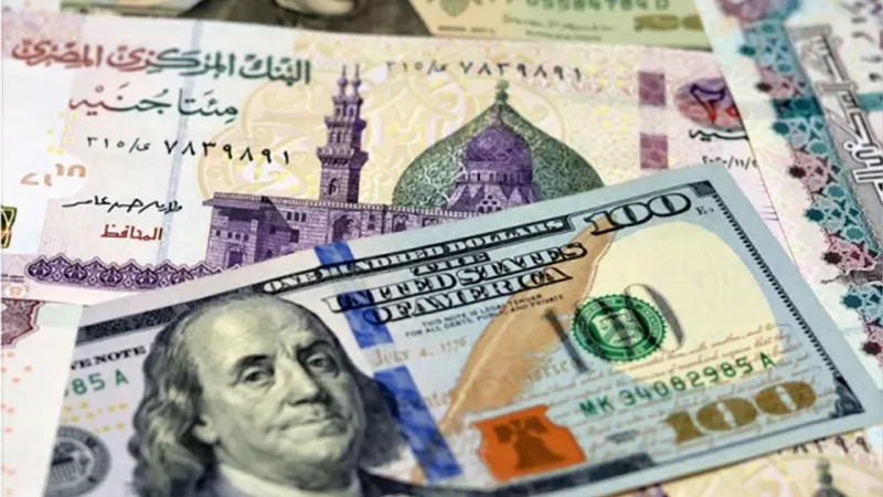 استقرار اسعار صرف الدولار مقابل الجنيه المصري في بداية التعاملات