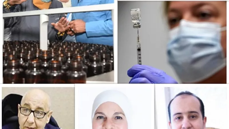 البنج المصري.. وصل للعالمية والجودة 100%