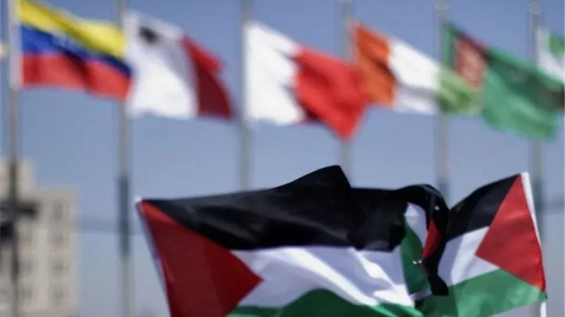 147 دولة اعترفت بفلسطين.. آخرهم إسبانيا وأيرلندا والنرويج