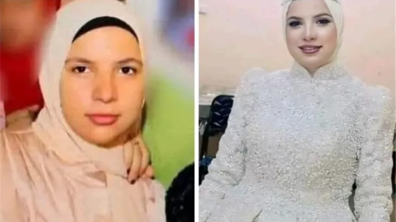 ماتت الشهامة... قاضى المعارضات يحبس قاتل فتاة إبشاق 15يوما