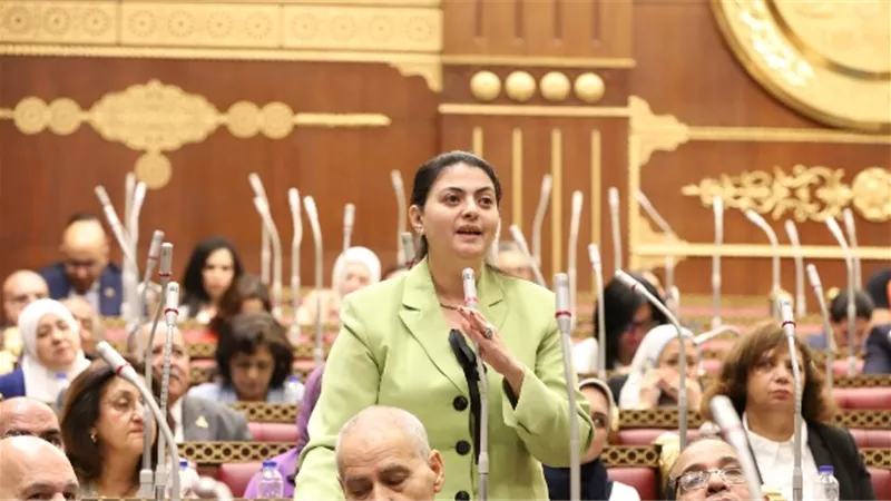 جوزيف عضو الشيوخ عن أسيوط تضع روشتة علاج للهجرة غير الشرعية....