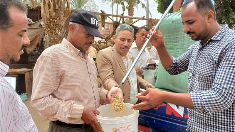 رئيس مدينة ملوى يتابع توريد محصول القمح بقرية تندة