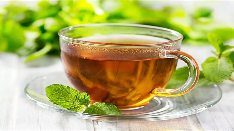 على الرغم من فوائده .. تعرف على من عليهم تجنب تناول النعناع