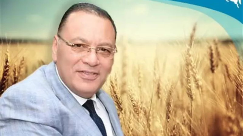 توريد 601 ألف طن من محصول القمح لصوامع وشون الشرقية
