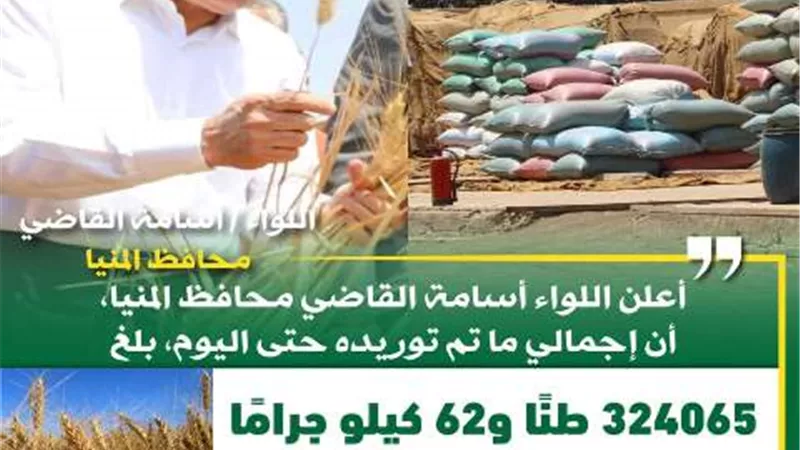شون وصوامع المحافظة تواصل استقبال القمح وتوريد 324 ألف طن
