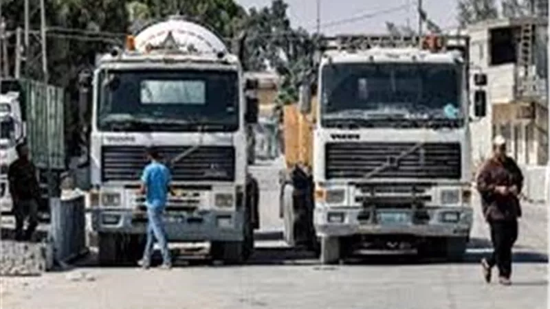 دخول 174 شاحنة مساعدات اليوم من معبر رفح إلى معبر كرم أبوسالم