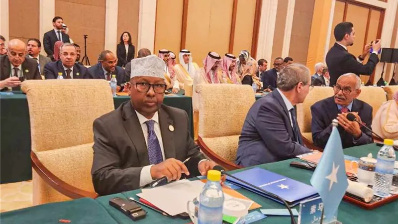 وزير الخارجية الصومالي يدين تصرفات إثيوبيا وتدخلاتها السافرة