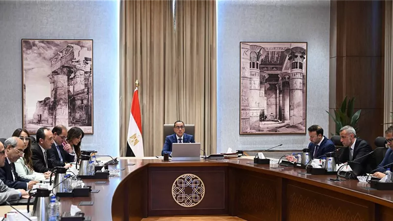 تفاصيل اجتماع رئيس الوزراء مع أكثر من 200 مستثمر عالمى