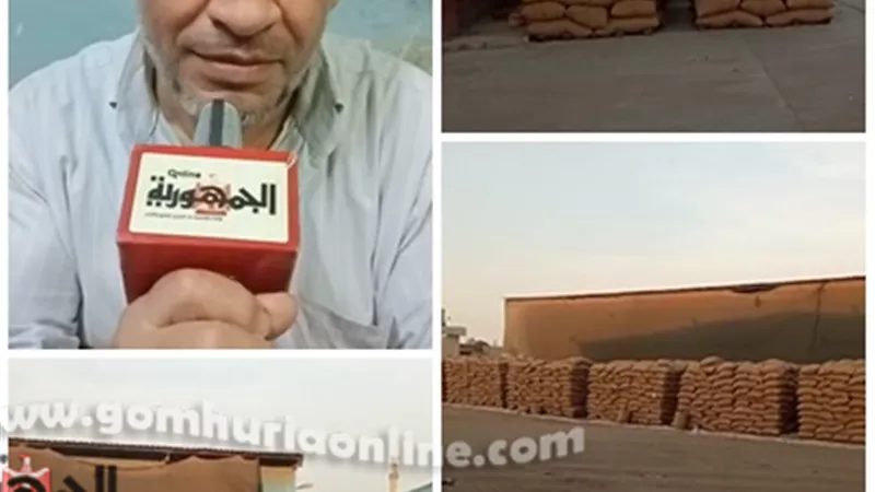 محطة غربلة المنوفية تبدأ في تجهيز تقاوي القمح للموسم المقبل