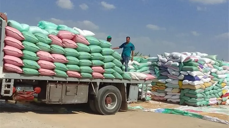 توريد 223185الف طن و 370 كيلوا قمح بالبحيرة