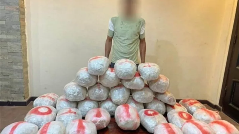 سقوط تجار السموم ب 