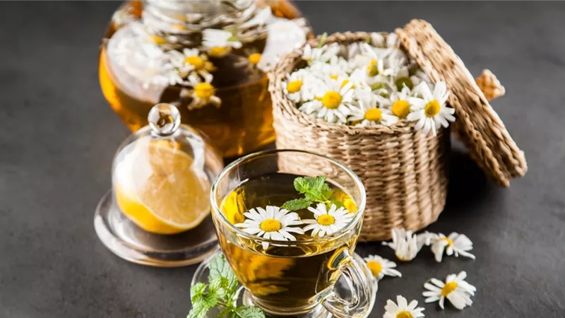 اهم فوائد البابونج كمضاد للاكسدة للصحة العامة