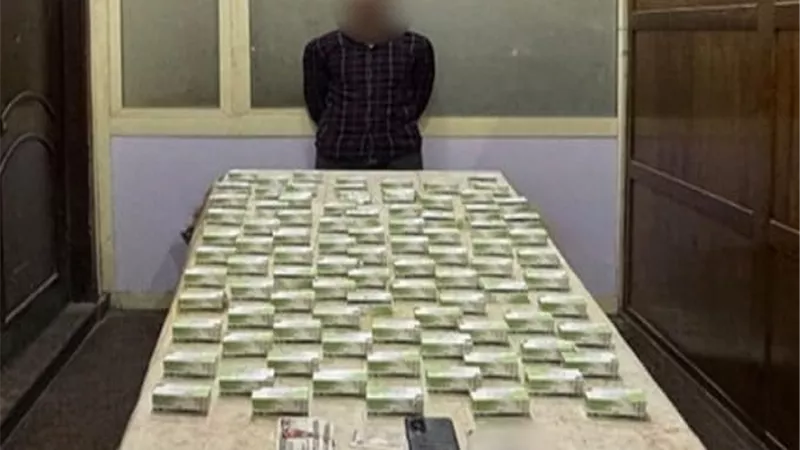 ضبط عناصر إجرامية بكتوكتيل مخدرات في الإسكندرية وكفر الشيخ