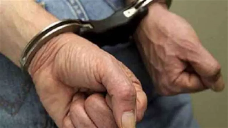سقوط شخصين استخرجا رخصة قياة بمؤهل دراسى مزور في القاهرة