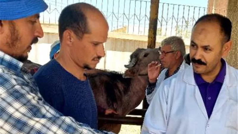 ٦٧٠حالة حصاد قافلة جامعة الزقازيق اليوم بقرية المؤانسة