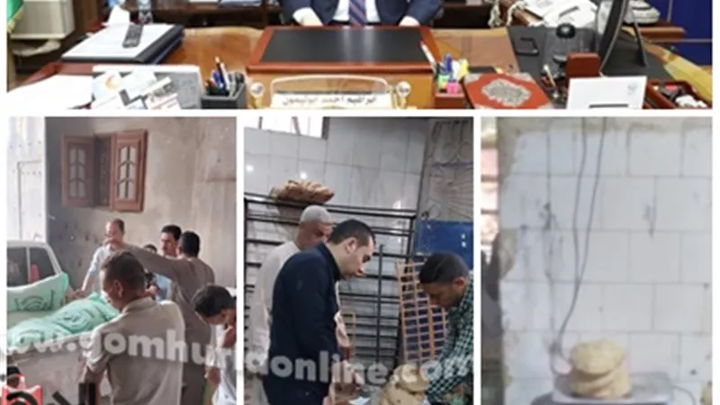 محافظ المنوفية : ضبط 17 طن دقيق مدعم قبل بيعها في السوق السوداء