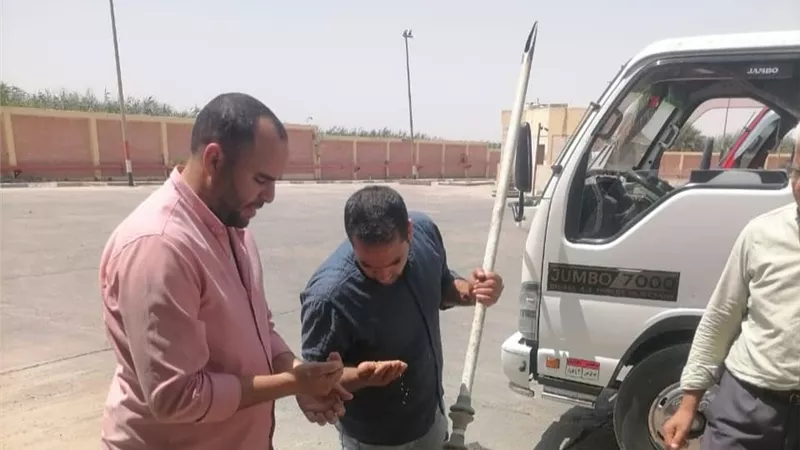 توريد 225134 طن و 969 كيلو قمح بالبحيرة