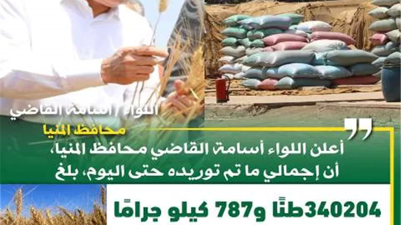 شون وصوامع المنيا تواصل استقبال القمح وتوريد 340 ألف طن