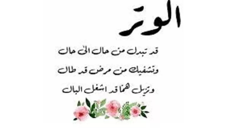 صلاة الوتر فقط دون سنة العشاء..حكمها يُفنده امين الفتوى