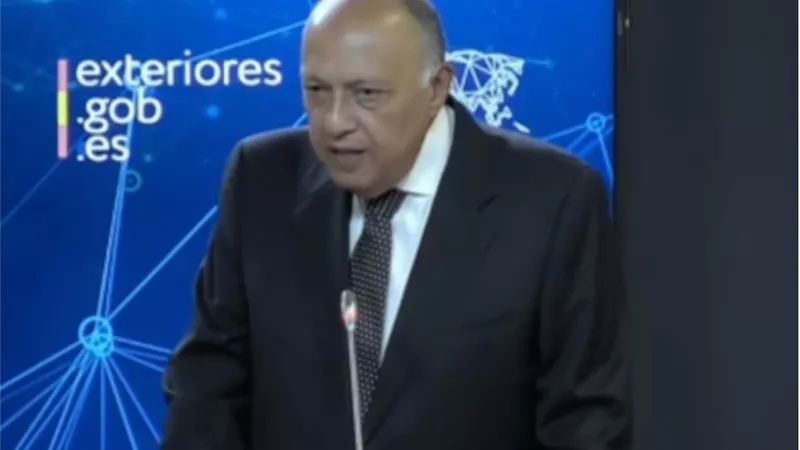 شكري: مصر تعمل مع أسبانيا على مواجهة الهجرة غير الشرعية