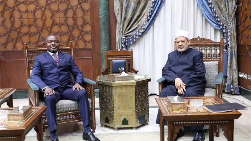 فضيلة الإمام الأكبر شيخ الأزهر الشريف يشيد بموقف جنوب إفريقيا