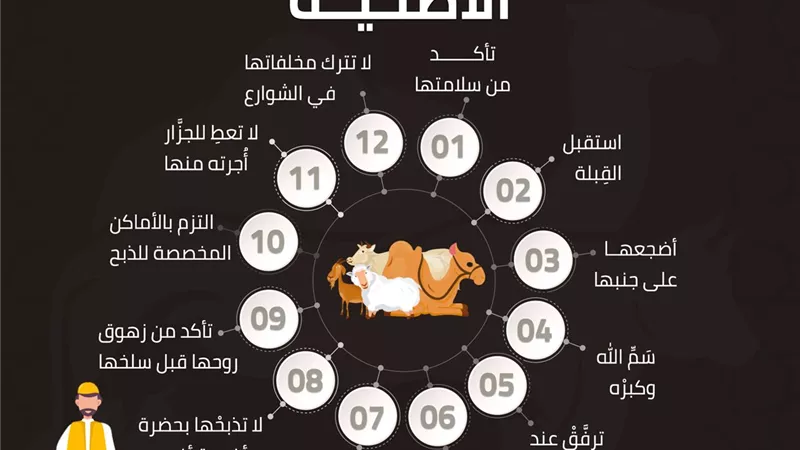 آداب يجب مراعتها عند ذبح الأضحية..انفوجراف