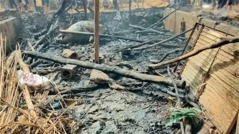 3 أشعلوا النيران بحظيرتين وتسببوا فى نفوق 40 رأس ماشية بالفيوم
