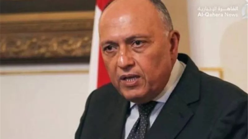 وزير الخارجية يعلن توقيع مذكرة تفاهم بشأن العمالة المصرية في قبرص