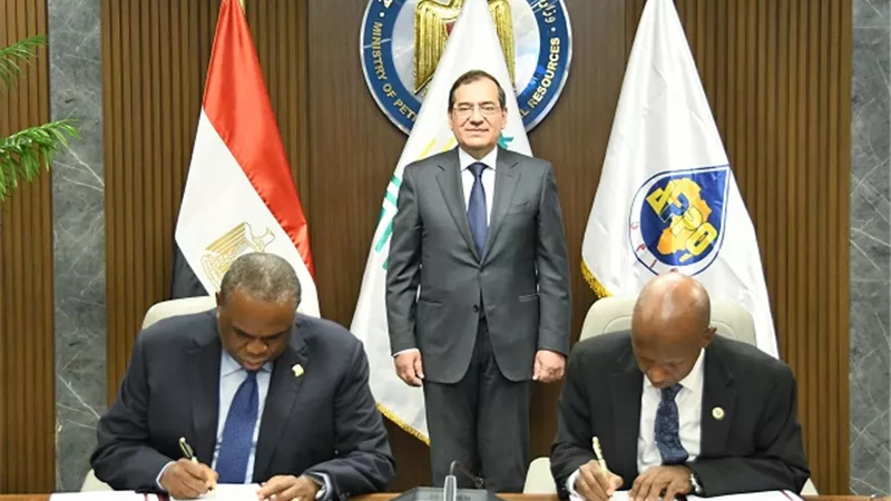 الملا: توفير التمويل لاستغلال موارد الطاقة حق لشعوب القارة الإفريقية