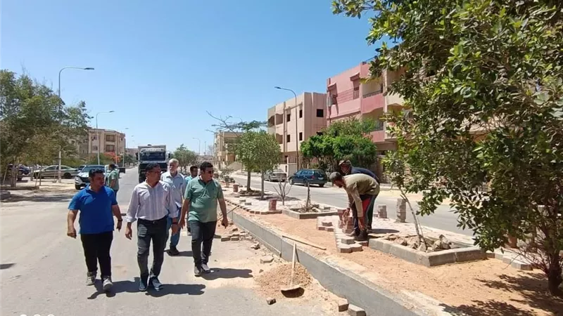 رئيس جهاز العبور يشدد على تسريع وتيرة أعمال الرصف .. صور