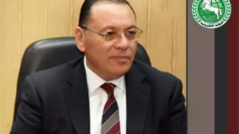 المراكز التكنولوجية تستقبل 17 ألفا و577 طلب تصالح بناء بالشرقية