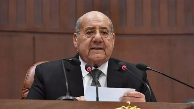 رئيس مجلس الشيوخ يؤكد أهمية التعاون البرلماني بين مصر وكازاخستان