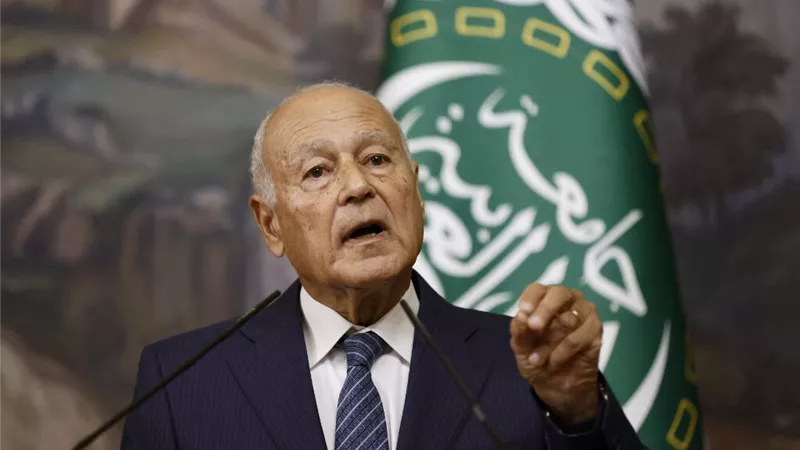 أبو الغيط: إرسال المساعدات إلى غزة عبر البحر ليس بديلا عن المعابر البرية